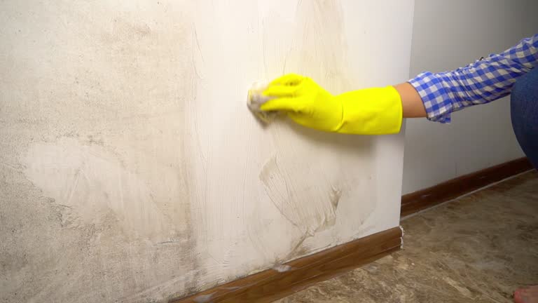 Oakhurst, CA Mold Removal Company