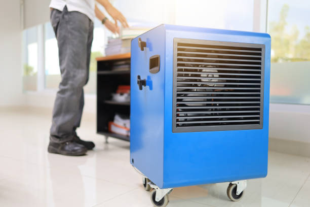 Best Comprehensive Air Testing for Mold Contaminants  in Oakhurst, CA
