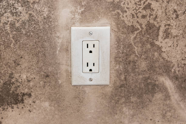 Best Basement Mold Removal  in Oakhurst, CA